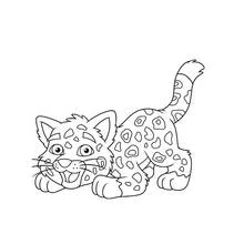 Coloriage Léopard bébé en train de jouer
