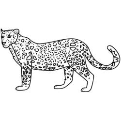 Coloriage Léopard debout de profil