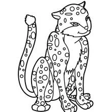 Coloriage Léopard assis avec la queue levée