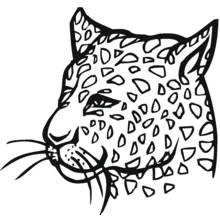 Coloriage Léopard tête de profil tachetée