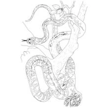Coloriage Serpent enroulé autour d'une branche