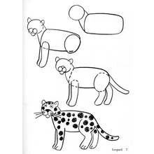 Coloriage Léopard en étapes de dessin