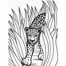 Coloriage Léopard avançant dans les hautes herbes