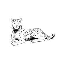 Coloriage Léopard allongé au repos