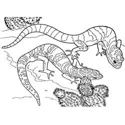 Lézard - Coloriages gratuits à imprimer