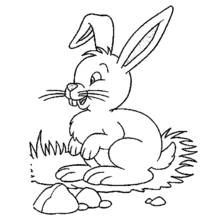 Lièvre - Coloriages gratuits à imprimer