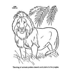 Coloriage Lion debout parmi les hautes herbes et les palmes