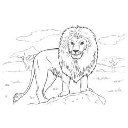Coloriage Lion debout sur un rocher dans la savane