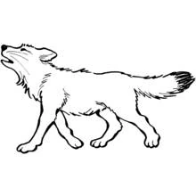 Coloriage Loup hurlant en marchant