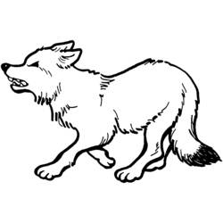 Coloriage Loup marchant la tête levée