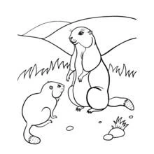 Marmotte - Coloriages gratuits à imprimer
