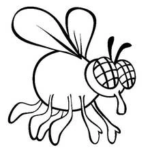 Mouche - Coloriages gratuits à imprimer