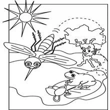 Coloriage Moustique volant près d'une grenouille et du soleil