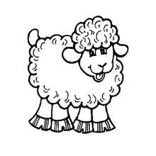 Coloriage Mouton bouclé qui tire la langue