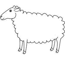 Coloriage Mouton debout de profil