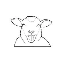 Coloriage Mouton tirant la langue