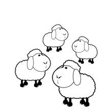 Coloriage Mouton groupe de quatre moutons debout
