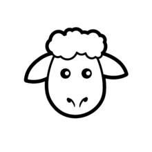 Coloriage Mouton vu de face