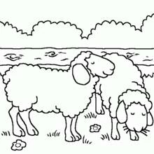 Coloriage Mouton broutant dans un champ