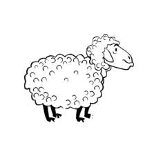Coloriage Mouton à la laine bouclée