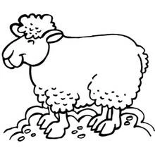 Coloriage Mouton debout dans un pré