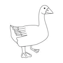 Coloriage Oie debout au cou allongé