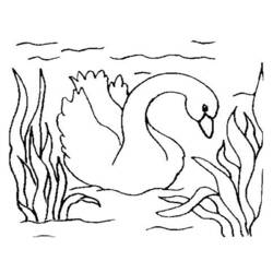 Coloriage Oie nageant parmi les roseaux