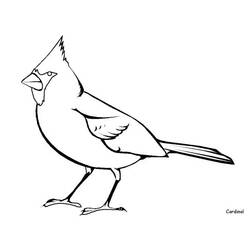 Coloriage Oiseau cardinal debout au sol