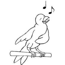 Coloriage Oiseau chantant sur une branche