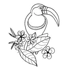 Coloriage Toucan parmi les fleurs et les feuilles