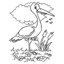 Coloriage Oiseau échassier debout près des roseaux