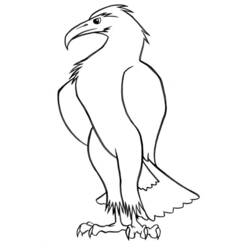Coloriage Oiseau aigle debout aux serres puissantes