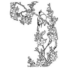Coloriage Oiseau huppé sur branche sinueuse et verticale