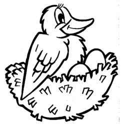 Coloriage Oiseau assis sur son nid avec des œufs