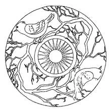 Coloriage Oiseaux perchés dans un mandala de branches