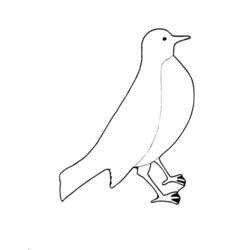Coloriage Oiseau simple debout