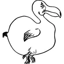 Coloriage Oiseau dodo rond immobile