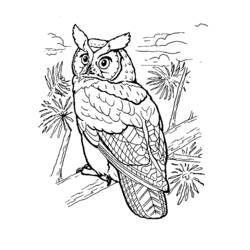 Coloriage Hibou sur une branche, herbe et nuages
