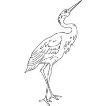 Coloriage Grue debout au long cou