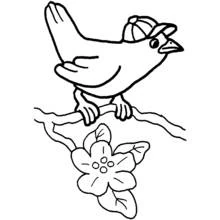 Coloriage Oiseau avec une casquette sur une branche
