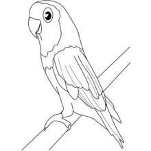 Coloriage Oiseau perché sur une branche