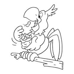 Coloriage Perroquet mangeant des cacahuètes sur un perchoir