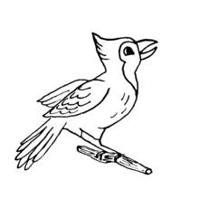 Coloriage Oiseau à huppe dressée, bec ouvert vers le haut