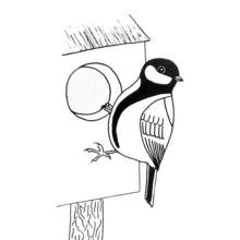 Coloriage Mésange charbonnière sur son nichoir