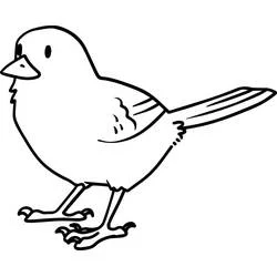 Coloriage Oiseau perché ailes repliées