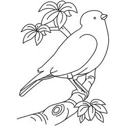 Coloriage Oiseau perché sur une branche avec des feuilles