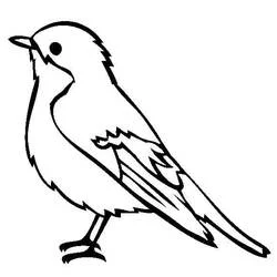 Coloriage Un petit oiseau en profil