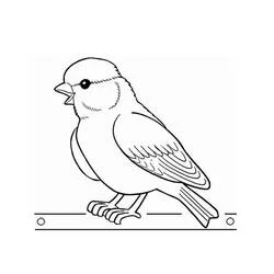 Coloriage Petit oiseau face à gauche sur perchoir horizontal