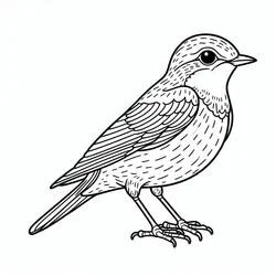 Coloriage Oiseau perché