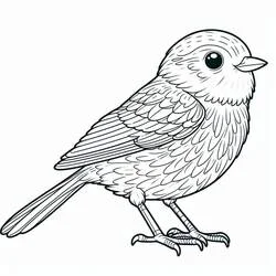 Coloriage Petit oiseau aux plumes détaillées